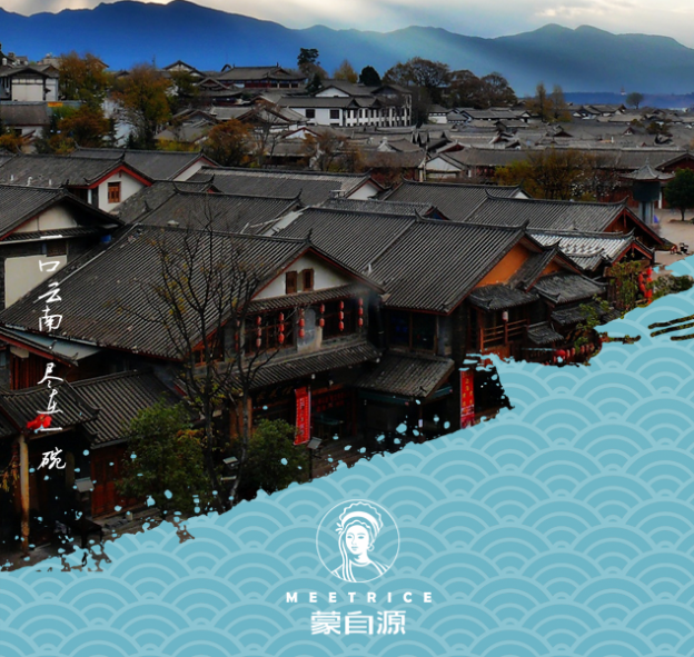 蒙自源餐飲行業(yè)-數(shù)據(jù)接口開發(fā)案例